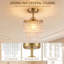 Ceiling Light-1088491328