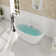 Casainc 67'' x 30'' Freestanding Soaking Acrylic Bathtub