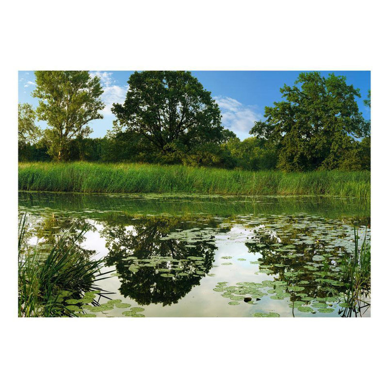 Damecia Wall Mural, 82" L x 118" W