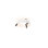 Casia 1 - Light LED Flush Mount