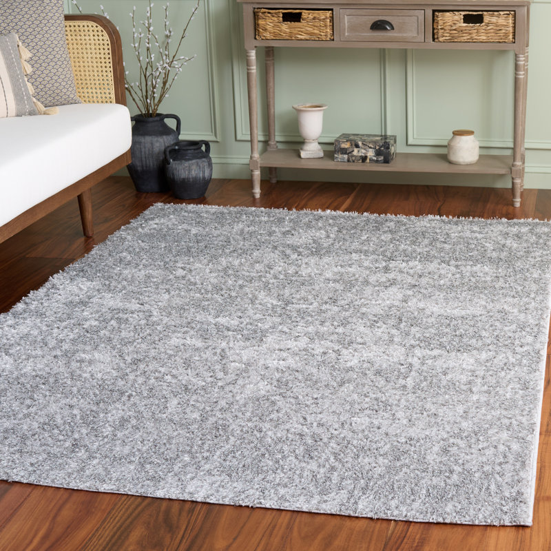 Tapis d'intérieur à poils longs Everett Performance, Rectangle 5 pi 3 po x 7 pi
