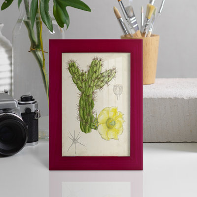 Cactus antique I - impression encadrée avec verre