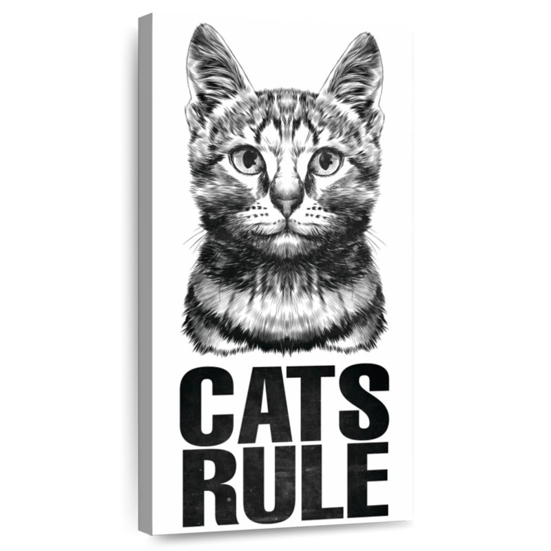 Règle des chats