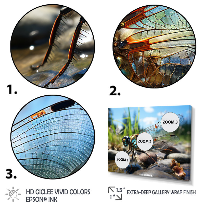 Libellule bleue flottante II - Libellule, art mural, H 16 po x l 32 po x P 1 po, Cadre flottant blanc