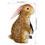 Décoration de lapin 8 po