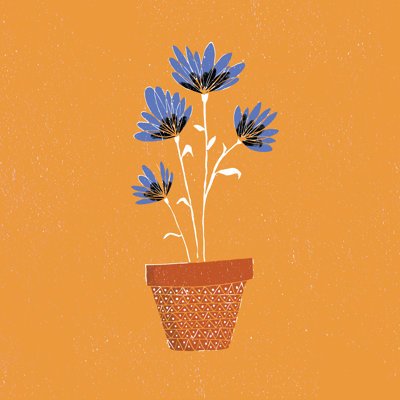 Fleurs bleues sur fond orange par Justin Shiels - impression