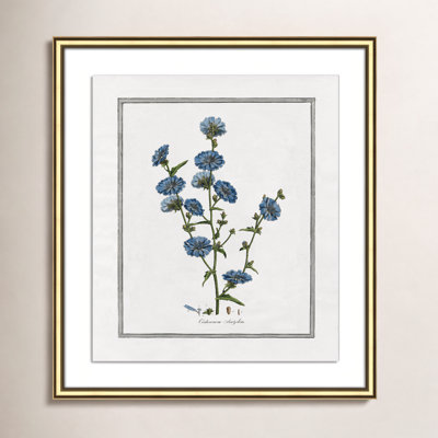 Colombe "Soft Botanical I" Print