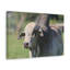No Frame Print on Canvas-1396428859