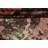 Vegetable Dye Abstract Oriental Area Rug 8x10