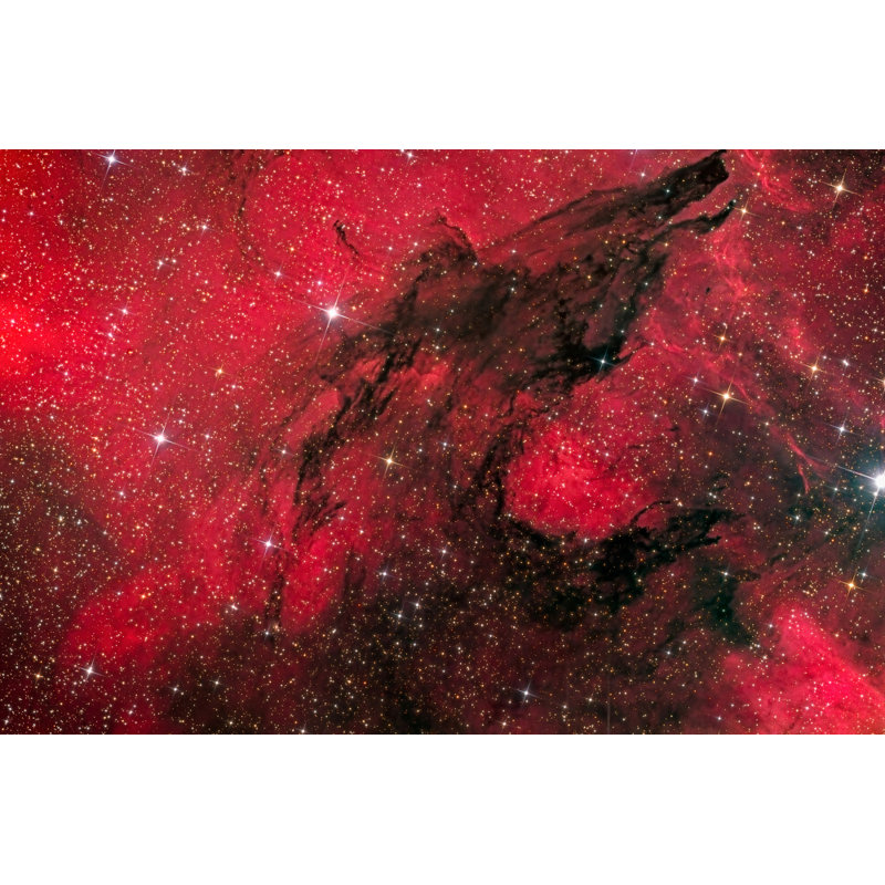 Wrapped Canvas Print, 50.8 cm H x 76.2 cm W