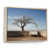 Natural Floater Framed selected