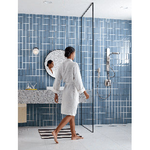 Moen Mixer Shower with Adjustable Shower Head