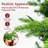 Christmas Trees
