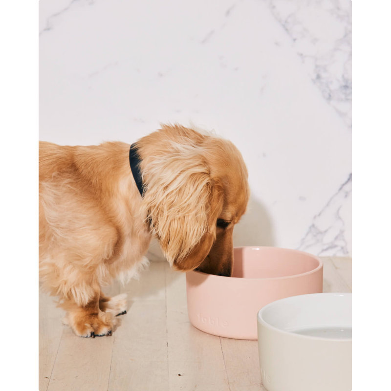Signature Bowl, Large (3.5"), Tofu