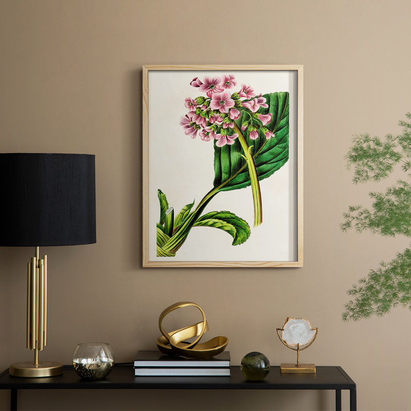 AntiqueFloralFolio III, reproduction encadrée - bois massif, H 21 po x l 17 po