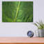 "Leaf Leaf" par Dennis Frates-1021642627