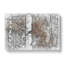 Birch Trees In Autumn - Wrapped Canvas-56641944