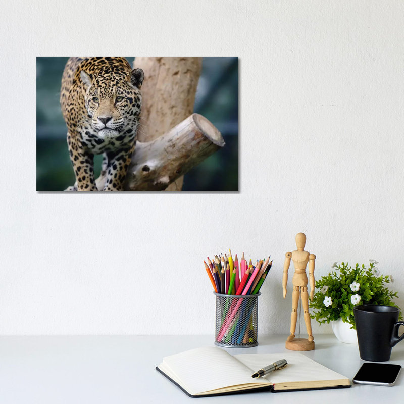 Jaguar XII by Goran Anastasovski - Wrapped Canvas Print, 20.32 cm H x 30.48 cm W