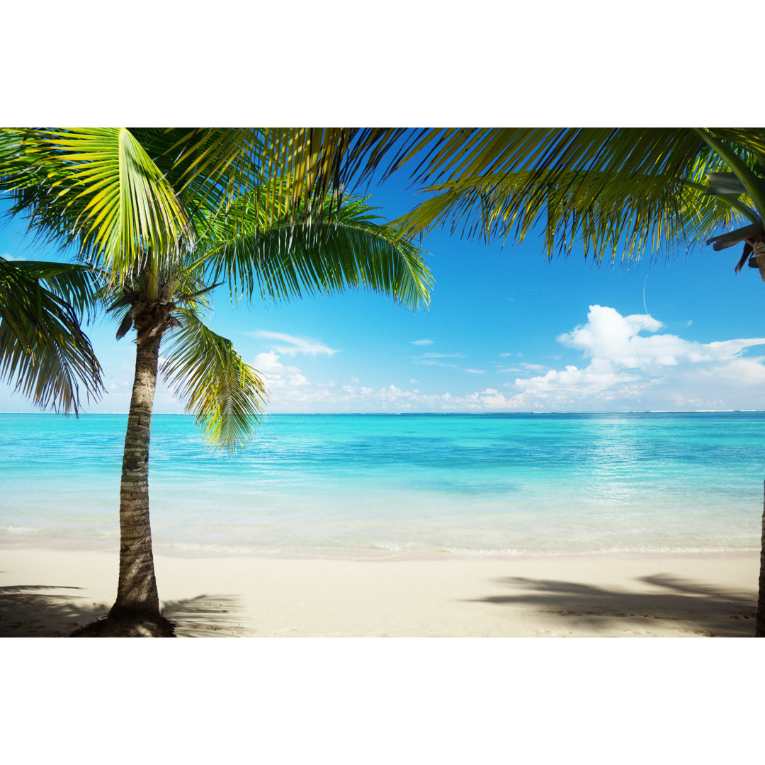 " Caribbean Sea Beach & Ocean " by Iakovkalinin Highland Dunes 