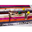 Nueva Raya Cowhide Striped Area Rug