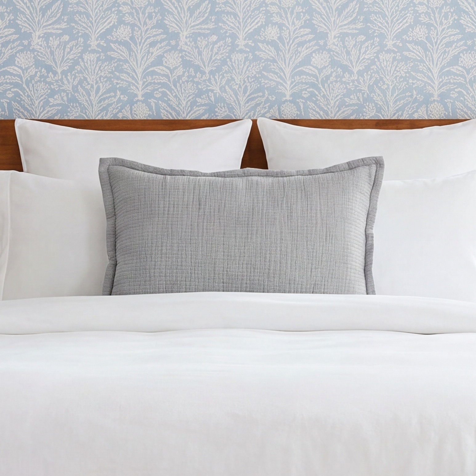 Solid Cotton Shams, Gray, Standard