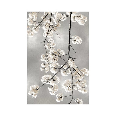 White Blossoms on Silver IV 1 Piece Wrapped Canvas Wall Art