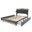 EU Double & Kingsize Velvet Storage Bed with App-Controlled RGB LED & USB C Charging, 4-Drawer Upholstered Platform Bed Frame with Storage Headboard, Beige/Grey, 140/160x200cm-783772338-783772343