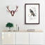Bird Illustration PL. 25 by Charles D' Orbigny - Single Picture Frame Painting-55457197-55457198
