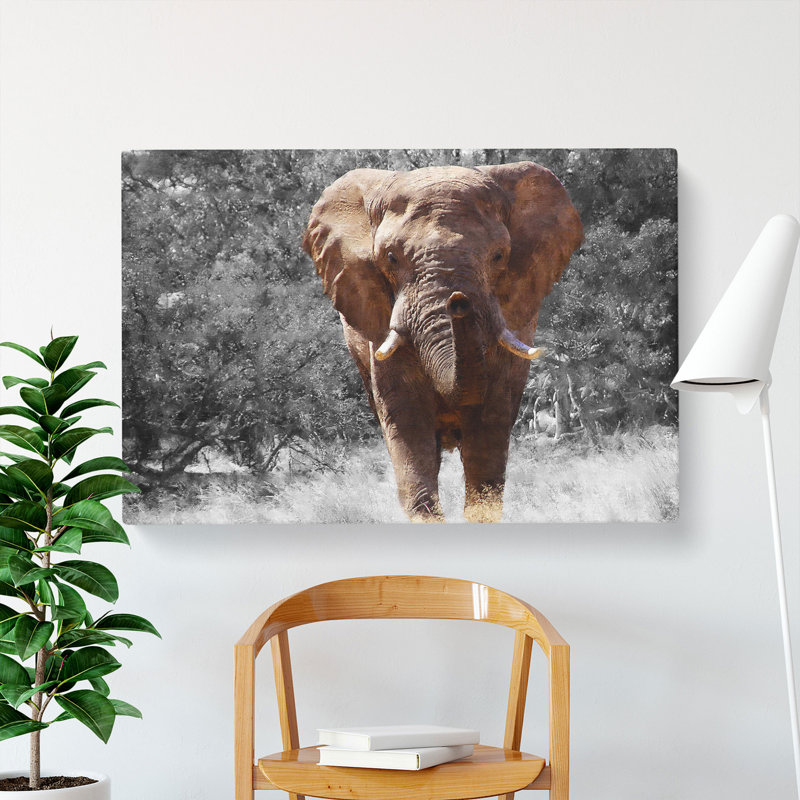 Elephant Vol.1 Painting - Wrapped Canvas, 35cm H x 50cm W x 3cm D