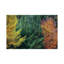 Autumn Colors by Mateusz Piesiak - Floater Frame Print on Canvas-2023197252-2023197251