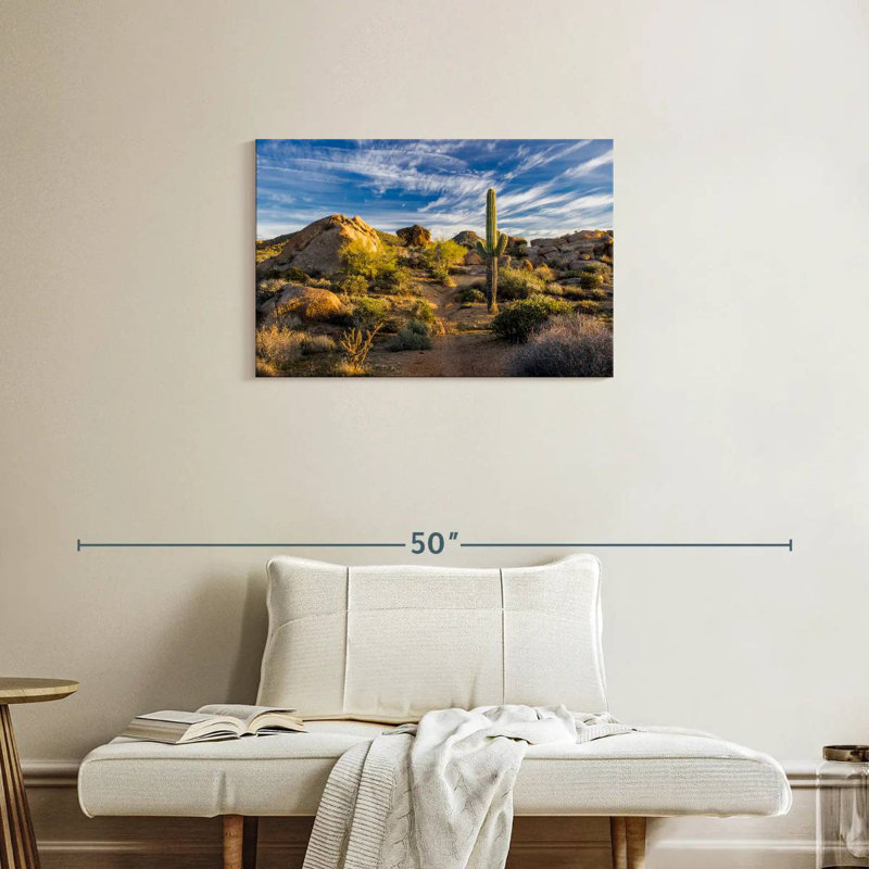 Alvord Saguaro, cactus et roches, H 20 po x l 30 po