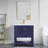Thome 31 " W Freestanding Standard Free Standing Single Double Single Vanity Bathroom Vanity With Resin Top-74888407-74888400