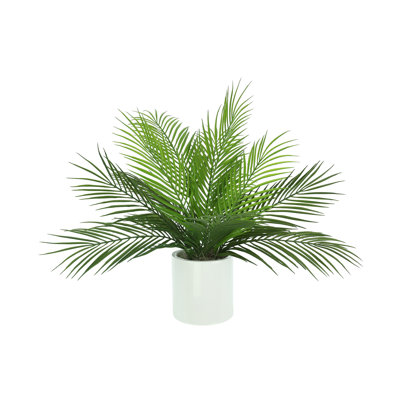 Outdoor UV Rated Palm in Fiberstone Pot