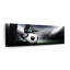 Crampons sur ballon de soccer sur toile-1496010633