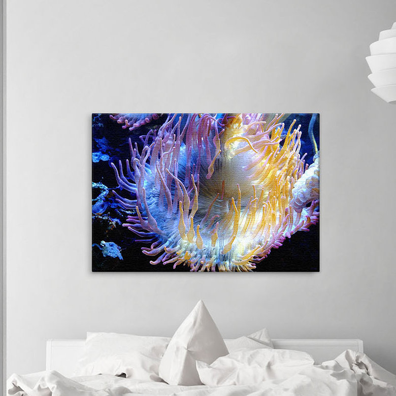 Print on Canvas, 100cm H x 150cm W x 2cm D