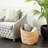 Milnor Seagrass Handmade Woven Decorative and Functional Storage Basket-245782953-245782810