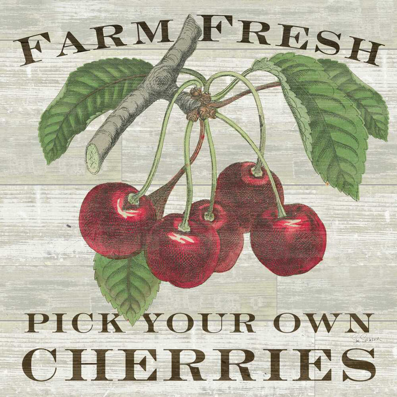 Carré de cerises fraîches de ferme, H 36 po x l 36 po
