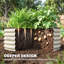 Planter-1099808102