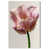 Gallery Wrapped selected