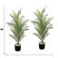 Palmiers 48 po Glow in the Dark