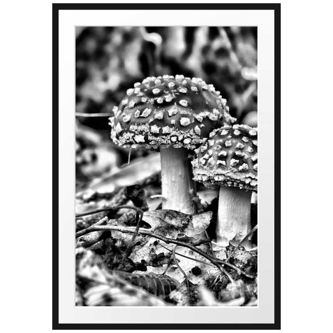 Gerahmtes Poster Pilz im Wald