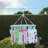 Plastic Clothes Pin