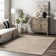 Owensby Braided Tan Indoor/Outdoor Rug