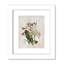 Botanical Posters Le Jardin Des Fleurs - Peinture encadrée-60137104-60137107
