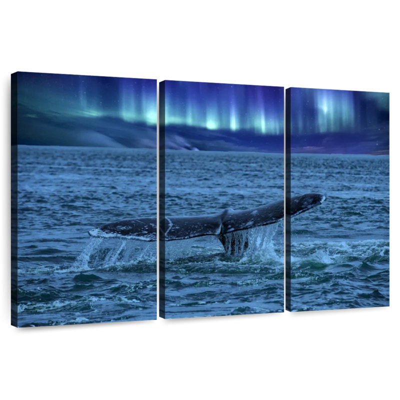 Aurora Borealis Whale Tail, 20" H x 33" W