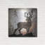 «Calling Deer» par Lightbox Journal sur métal-1838042749