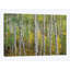 «Quake Aspen in Autumn, Colorado II», reproduction de photo sur toile-30523307-72562109-72562104