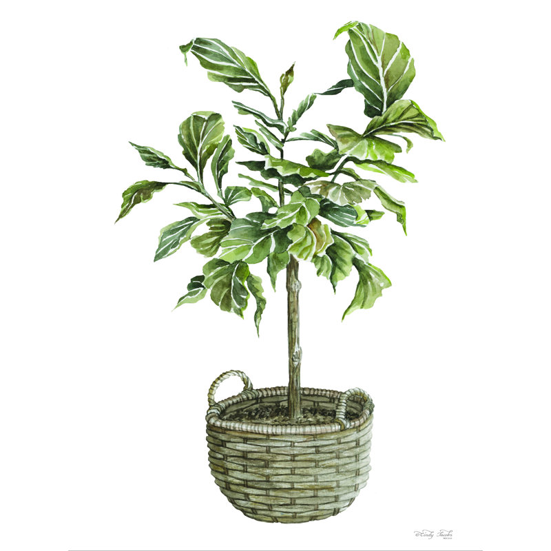 Figuier I - reproduction sur toile tendue, H 32 po x l 24 po