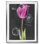 «Chalkboard Flower IV», reproduction