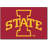 Collegiate Indoor Rug-12475101